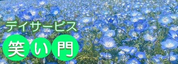 ネモフィラ